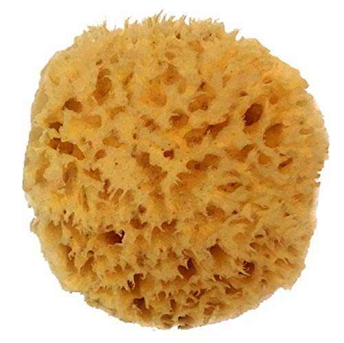 Natural Sea Wool Sponge 4-5" by Spa Destinations ® Amazing Natural Renewable Resource"Creating The in Perfect Bath and Shower Experience" 100% Satisfaction Guarantee!
